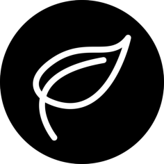 Leaf Outline In A Circle Sketch Svg Vector, Free Vectors File